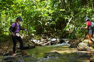 BIB: 5330
                            <button type="button" onclick="openModal(21844659)" class="btn btn-primary btn-sm float-right btn-popup" data-toggle="modal" data-target=".modal-high-quality">
                        <i class="fas fa-shopping-cart"></i> Add to Cart
                    </button>
                                            <button type="button" onclick="isThisMe(21844659, true)" class="btn btn-success btn-sm float-right btn-popup btn-isme hidden" data-toggle="tooltip" data-placement="bottom" title="นี่คือรูปของคุณใช่ไหม คลิกที่นี่เพื่อเอาเข้าอัลบั้ม">
                        <i class="fas fa-plus"></i> Add to album
                    </button>
                    <button type="button" onclick="isThisMe(21844659, false)" class="btn btn-warning btn-sm float-right btn-popup btn-isnotme hidden">
                        <i class="fas fa-ban"></i> Remove from album
                    </button>